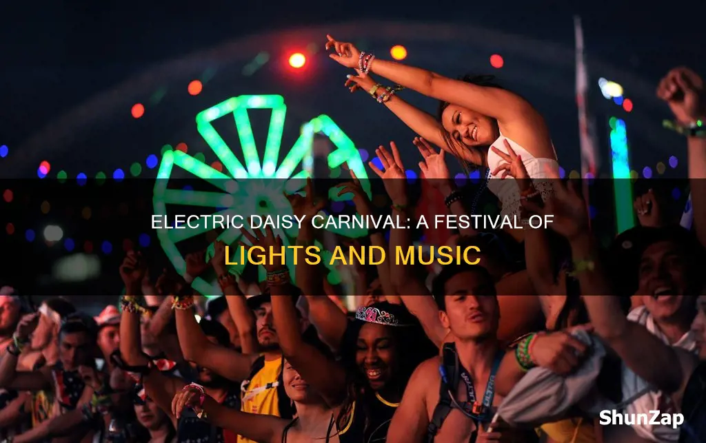 why is it called electric daisy carnival