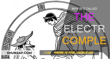 Electra Complex: Understanding the Roots of Female Psychology