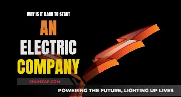 Challenges of Launching an Electric Company: A Complex Journey