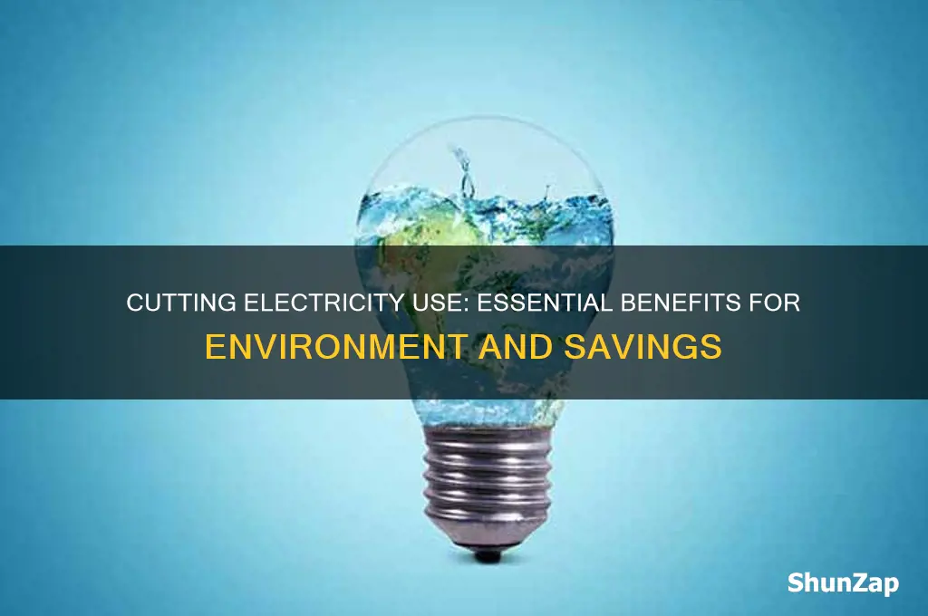 why is it important to reduce electricity use