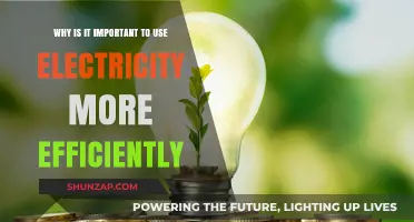Maximize Energy Savings: The Importance of Efficient Electricity Use