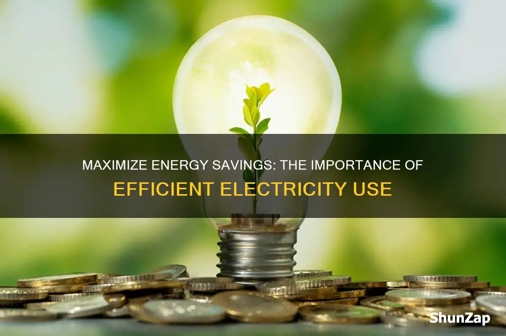 why is it important to use electricity more efficiently