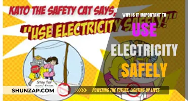 Safe Electricity Use: Protecting Lives, Homes, and the Environment Effectively