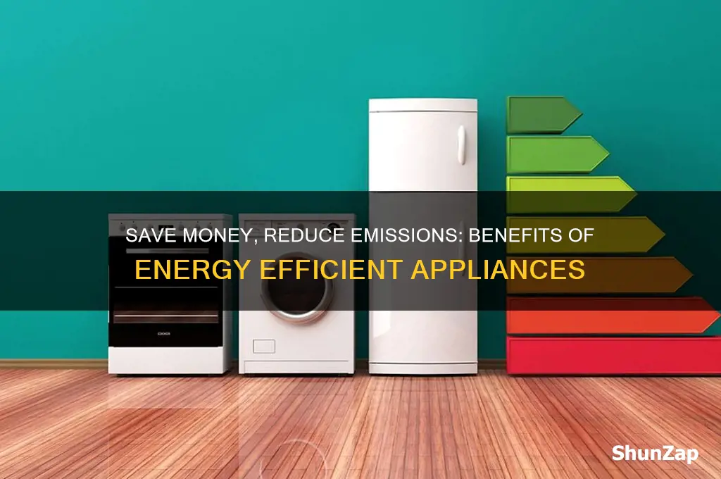 why is it wise to use energy efficient electric appliances