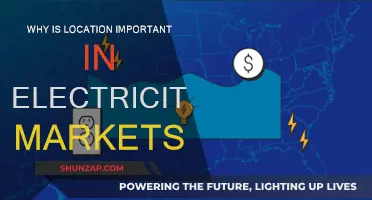 Location's Impact on Electricity Markets: A Critical Overview