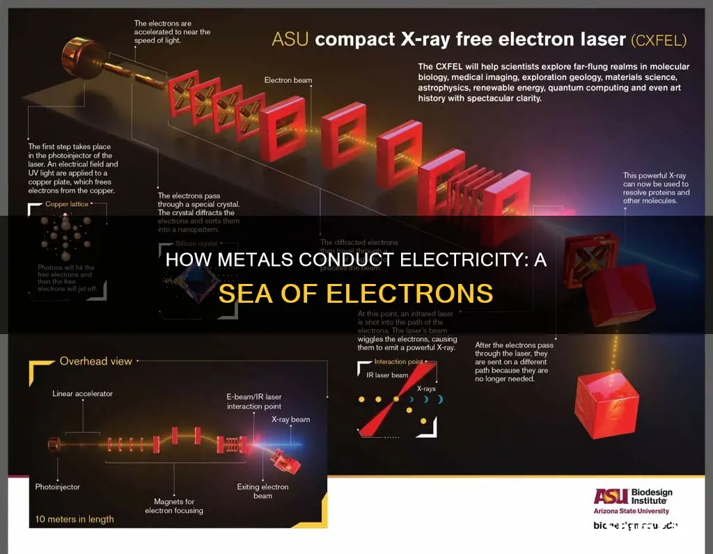why is metal a conductor of electricity