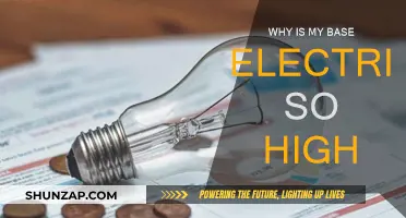 Electric Bill Blues: Why So High?