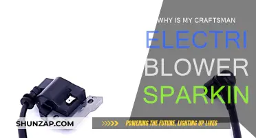 Troubleshooting a Sparking Craftsman Electric Blower