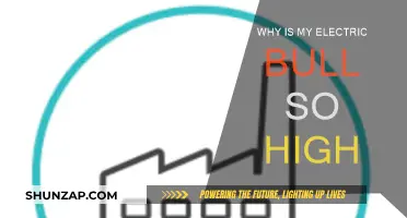 Electric Bill Blues: Why So High?