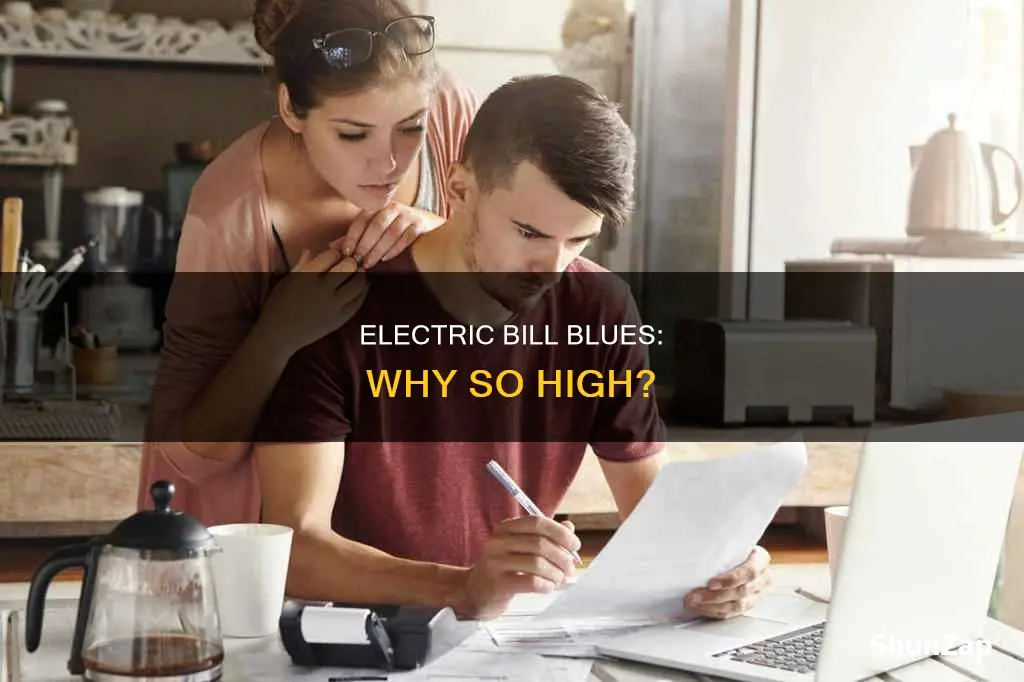 why is my electric bull so high