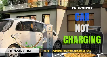 Why Your Electric Car Won't Charge: Common Issues and Fixes
