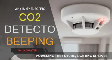 Troubleshooting a Beeping CO2 Detector