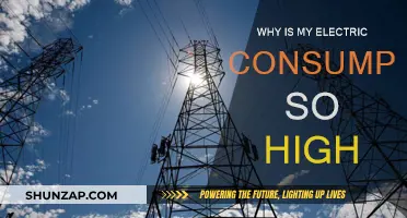 Electricity Bills: Why So High?