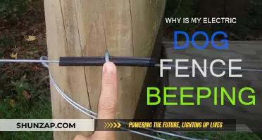 Troubleshooting Beeping Electric Dog Fences