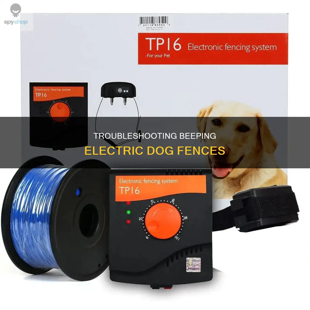 why is my electric dog fence beeping