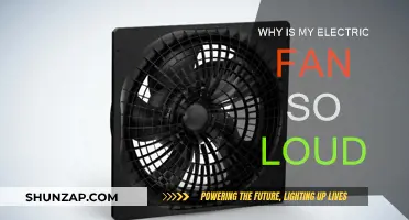 Electric Fan Noisy? Here's Why and How to Fix It