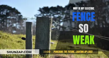 Electric Fence Weakness: Troubleshooting Your Power Problems