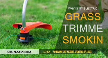 Troubleshooting a Smoking Grass Trimmer