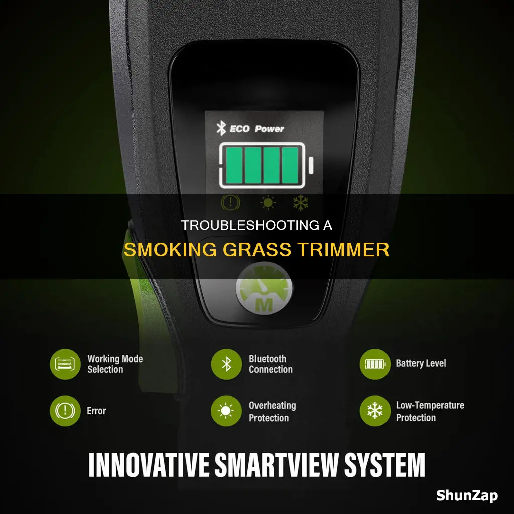 why is my electric grass trimmer smoking