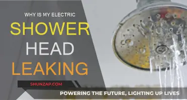 Electric Shower Head Leaking? Here's Why