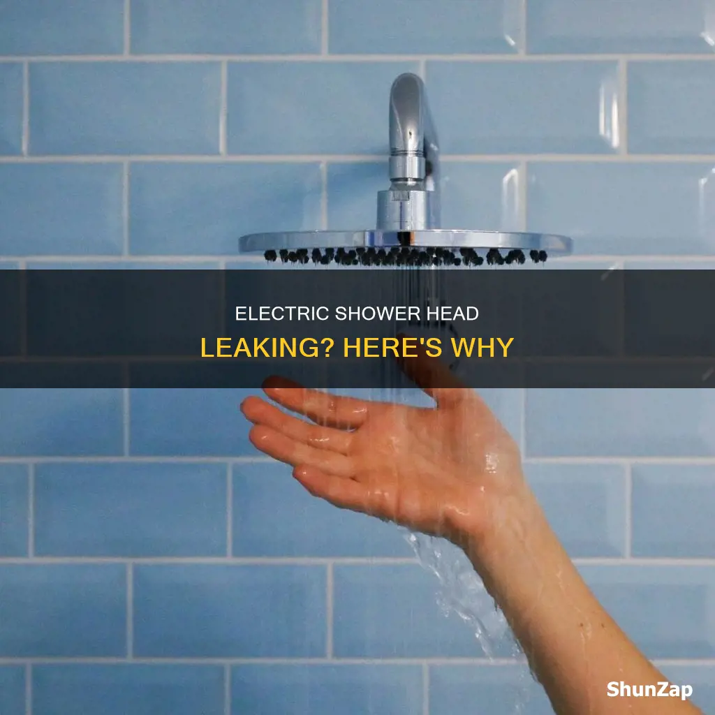 why is my electric shower head leaking