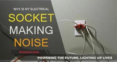 Electrical Socket Buzzing: What's the Cause?