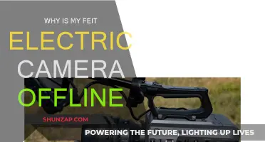 Troubleshooting Feit Electric Camera Offline Issues