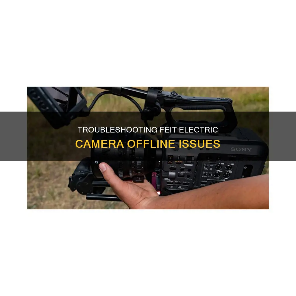 why is my feit electric camera offline