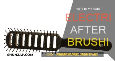 Static Hair: Why Brushing Causes Electric Flyaways