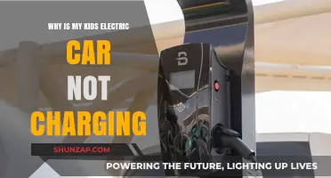 Troubleshooting Your Child's Electric Ride-On Car Charging Issues