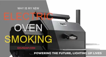 Electric Oven Smoking: What's the Issue?