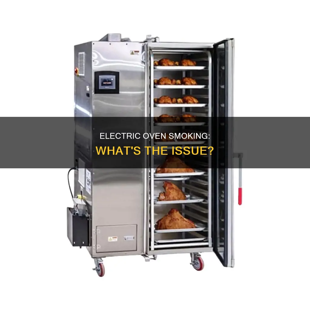 why is my new electric oven smoking