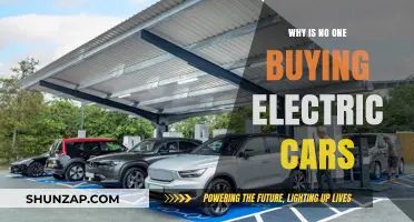 Why Electric Cars Aren't Selling: Barriers to Mass Adoption
