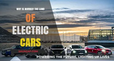 Norway's Electric Revolution: Unlocking the Secrets of EV Dominance