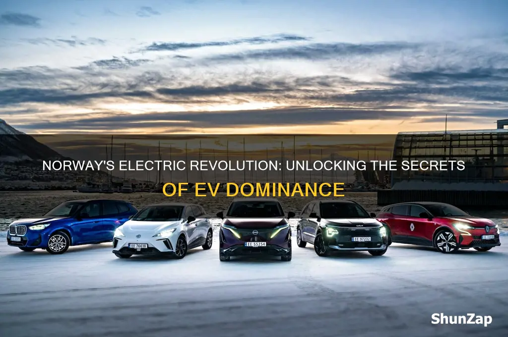 why is norway the land of electric cars
