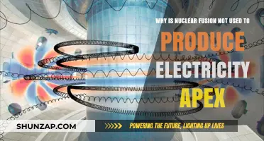Why Nuclear Fusion Isn't Powering Our Homes Yet: Key Challenges