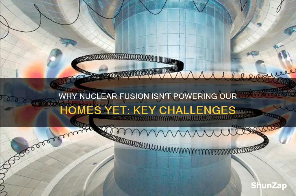 why is nuclear fusion not used to produce electricity apex