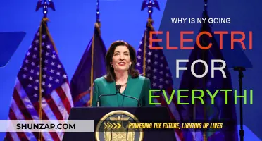 Electric Evolution: NY's Ambitious Switch to Electrification