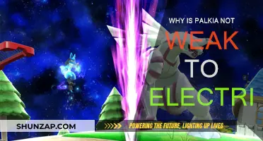 Palkia's Electric Resistance: The Reason Why