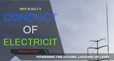 Salt's Conductive Nature: Ions and Electric Current