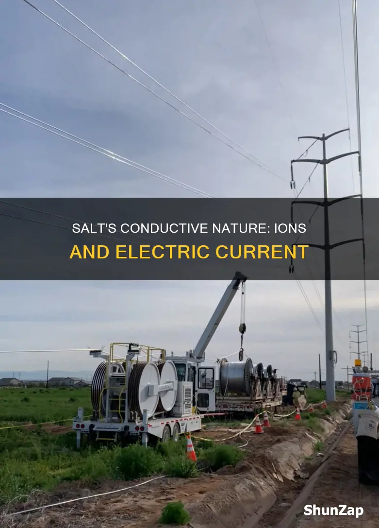 why is salt a conductor of electricity