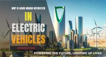 Saudi Arabia's Electric Future: A Green Revolution