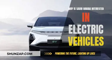 Saudi Arabia's Electric Vehicle Revolution: Why Now?