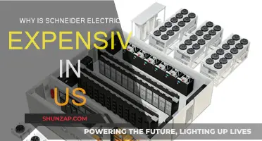 Schneider Electric: Why the High Price Tag in the US?