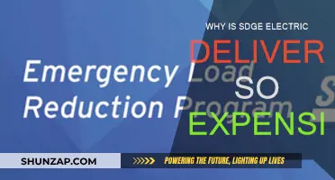 SDGE Electric Delivery: Why the High Cost?