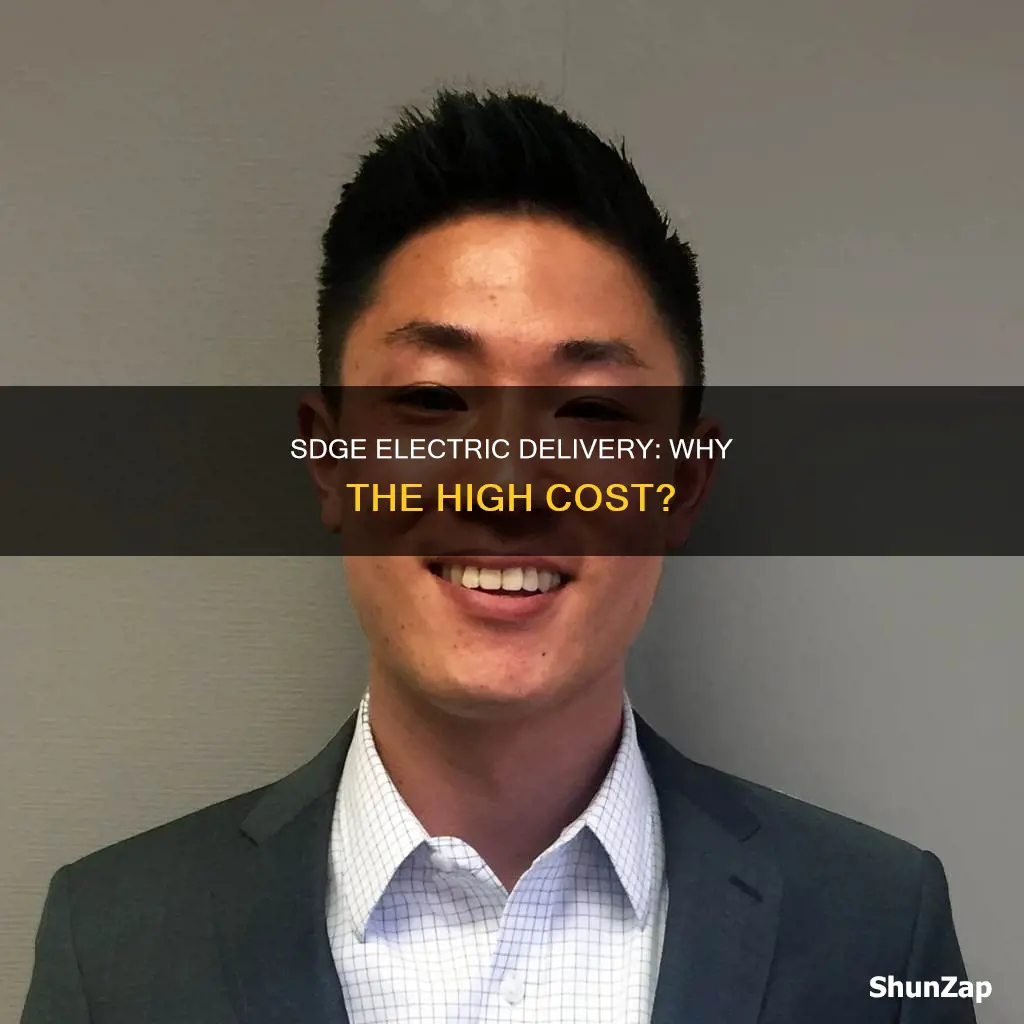 why is sdge electric delivery so expensive