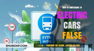 The Myth of Electric Cars: Uncovering the False Narrative