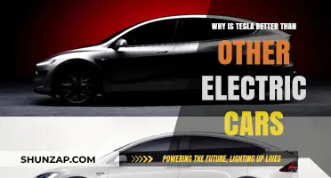 Tesla's Edge: Outperforming Competitors in the Electric Vehicle Market