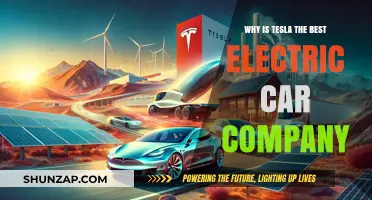 Tesla's Dominance: Unmatched Innovation in Electric Vehicles Explained