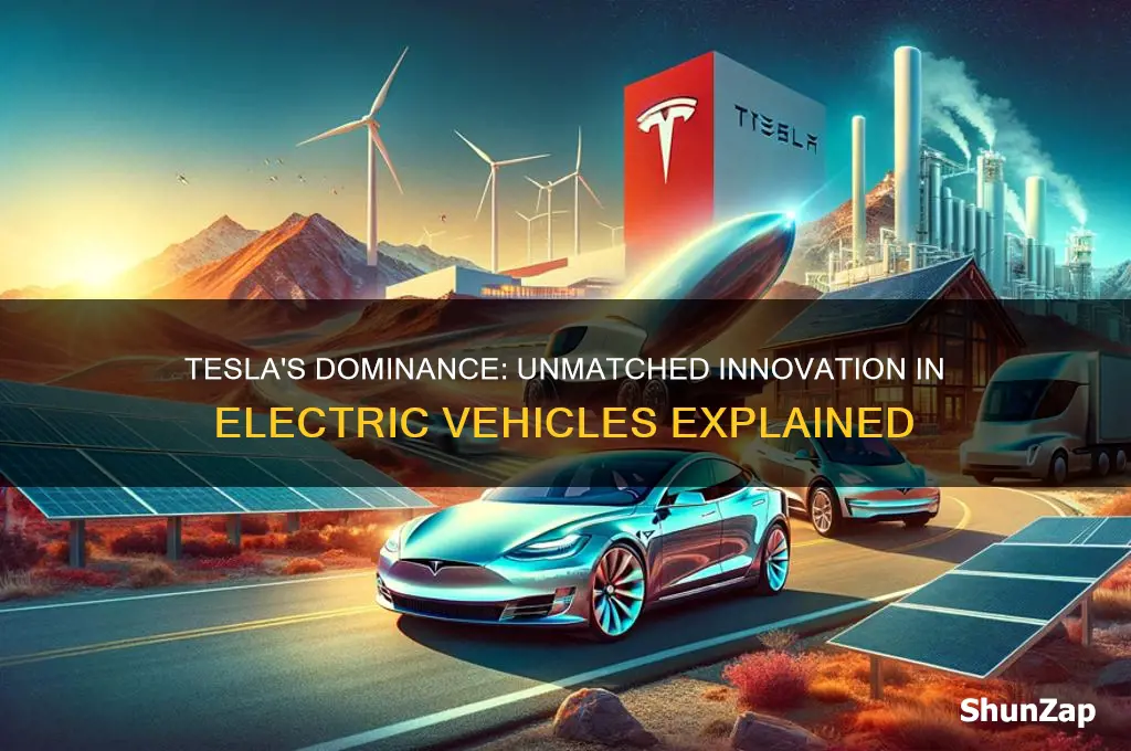 why is tesla the best electric car company